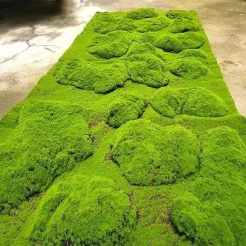 Szimulált Moss Kert Dekoráció Moha, Zöld Növények, Pázsit Fotózás Környezet Dekoráció DIY műfüves Özönlött Gyári